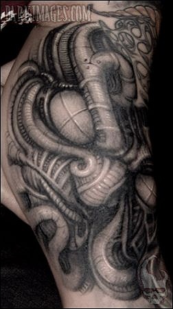 Ÿ̽Ʈ ν(paul booths) 