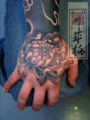 xainggang, xainggang , xainggang Ÿ, 