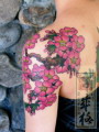 ڰ, ڰ , ڰ Ÿ, 