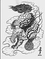 鵵, 鵵 , 鵵 Ÿ, 