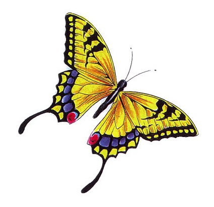 񹮽 õ繮 , Ÿ õŸ  Ÿ