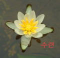 ¶, ¶ , ¶ Ÿ, 