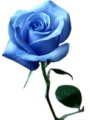 ڸ, ڸ , ڸ Ÿ, 