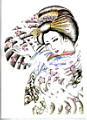 鵵, 鵵 , 鵵 Ÿ, 
