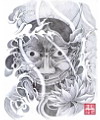 缺, 缺 , 缺 Ÿ, 