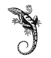 Ź, Ź , Ź Ÿ, 