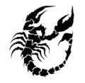 鵵, 鵵 , 鵵 Ÿ, 