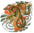 鵵, 鵵 , 鵵 Ÿ, 