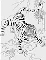 缺, 缺 , 缺 Ÿ, 
