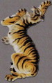 Ʈ̹, Ʈ̹ , Ʈ̹ Ÿ, 