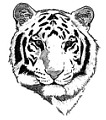 ּ, ּ , ּ Ÿ, 