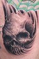 dragon, dragon , dragon Ÿ, 