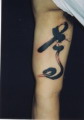 Ǹ, Ǹ , Ǹ Ÿ, 