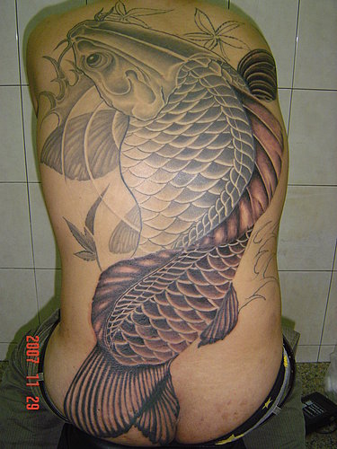 xianggang tattoo  tidrkd ȫ Ÿ ȫ   tkdrkd ghdzhdtlr