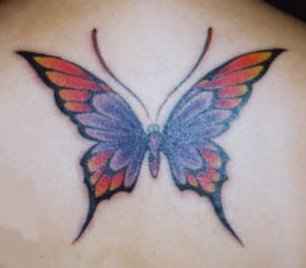 skqlanstls skqlxkxn butterfly tattoo 񹮽 Ÿ