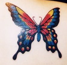 skqlanstls skqlxkxn butterfly tattoo 񹮽 Ÿ