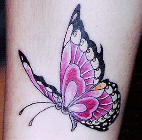 skqlanstls skqlxkxn butterfly tattoo 񹮽 Ÿ