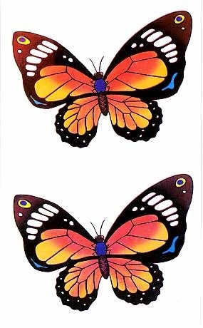 skqlanstls skqlxkxn butterfly tattoo 񹮽 Ÿ
