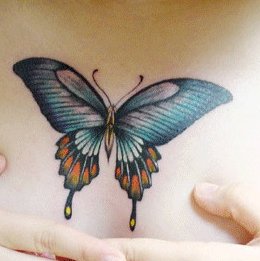 skqlanstls skqlxkxn butterfly tattoo 񹮽 Ÿ