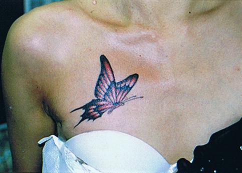 skqlanstls skqlxkxn butterfly tattoo 񹮽 Ÿ