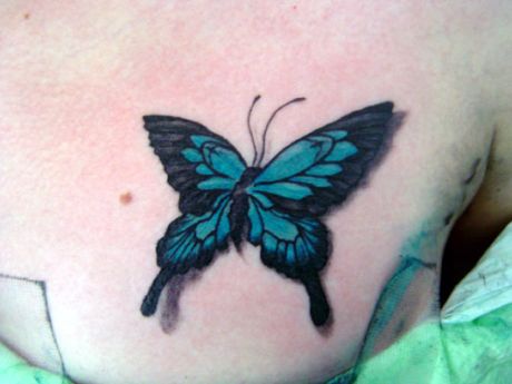 skqlanstls skqlxkxn butterfly tattoo 񹮽 Ÿ