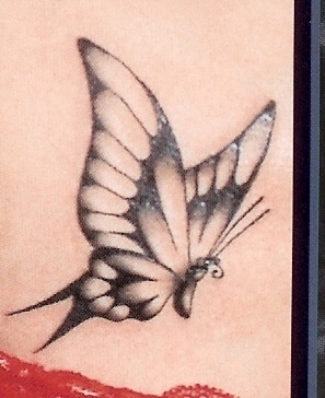 skqlanstls skqlxkxn butterfly tattoo 񹮽 Ÿ