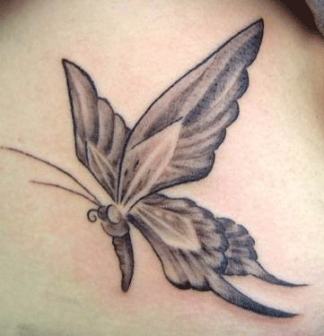 skqlanstls skqlxkxn butterfly tattoo 񹮽 Ÿ