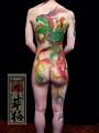 缺, 缺 , 缺 Ÿ, 