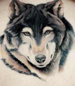tkwkanstls smreoanstls roanstls vyqjaanstls tkwkxkxn smreoxkxn vyqjaxkxn roxkxn ehdanfxkxn »çÀÚ¹®½Å ´Á´ë¹®½Å Ç¥¹ü¹®½Å °³¹®½Å µ¿¹°¹®½Å »çÀÚŸÅõ ´Á´ëŸÅõ Ç¥¹üŸÅõ °³Å¸Åõ µ¿¹°Å¸Åõ
