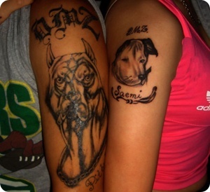 tkwkanstls smreoanstls roanstls vyqjaanstls tkwkxkxn smreoxkxn vyqjaxkxn roxkxn ehdanfxkxn »çÀÚ¹®½Å ´Á´ë¹®½Å Ç¥¹ü¹®½Å °³¹®½Å µ¿¹°¹®½Å »çÀÚŸÅõ ´Á´ëŸÅõ Ç¥¹üŸÅõ °³Å¸Åõ µ¿¹°Å¸Åõ