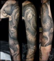 ŸݽѰ, ŸݽѰ , ŸݽѰ Ÿ, 