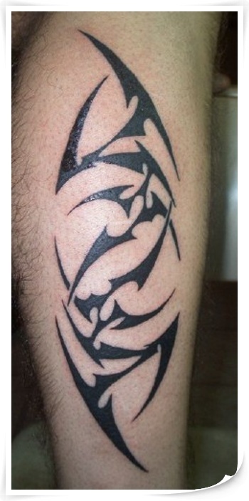 xmfkdlqjf anstls xmfkdlqjfxkxn tribal tattoo Ʈ̹ Ʈ̹Ÿ Ʈ̹