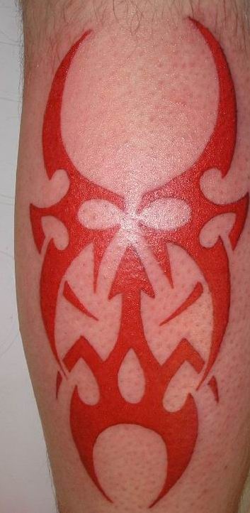 xmfkdlqjf anstls xmfkdlqjfxkxn tribal tattoo Ʈ̹ Ʈ̹Ÿ Ʈ̹