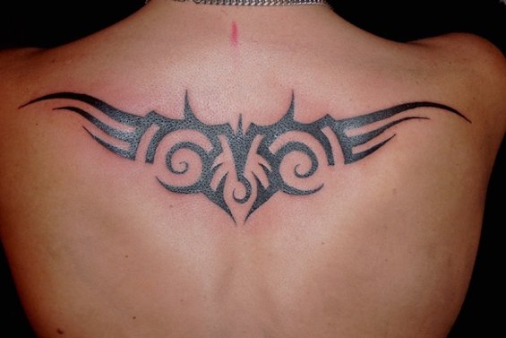 xmfkdlqjf anstls xmfkdlqjfxkxn tribal tattoo Ʈ̹ Ʈ̹Ÿ Ʈ̹