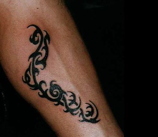 xmfkdlqjf anstls xmfkdlqjfxkxn tribal tattoo Ʈ̹ Ʈ̹Ÿ Ʈ̹