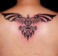 dragon, dragon , dragon Ÿ, 