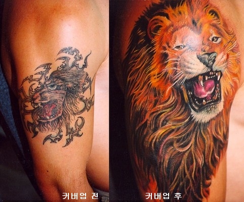 cover-up Ŀ���� cover up Ŀ�����̶�