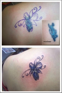 cover-up Ŀ���� cover up Ŀ�����̶�